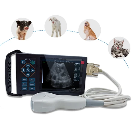 A10 Waterproof Digital Electronic Convex Array Probe Scanner Animal Veterinary Machine Vet Ultrasound