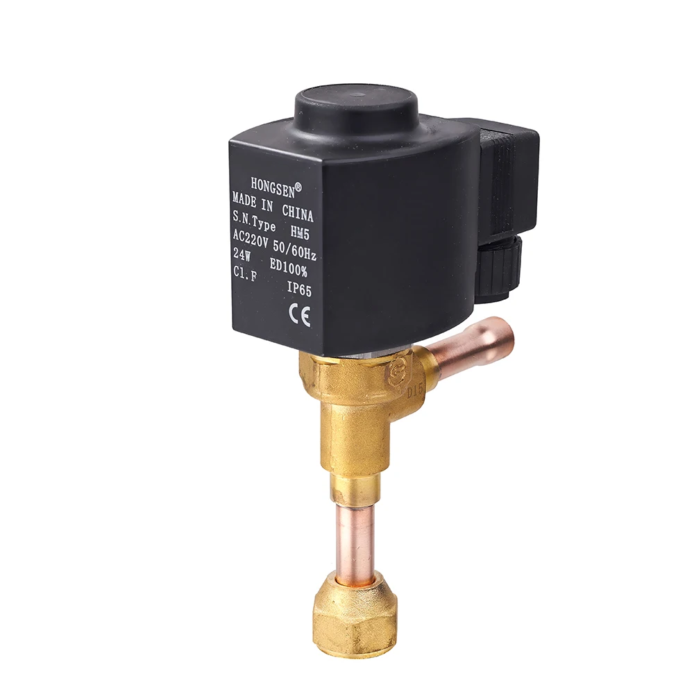 Hongsen Model HV high quality Unloading solenoid valve AC220V/50HZ 45Bar normally close