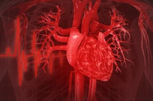 Анализатор иммунофермента DSC автоматический биохимический анализатор LIBS