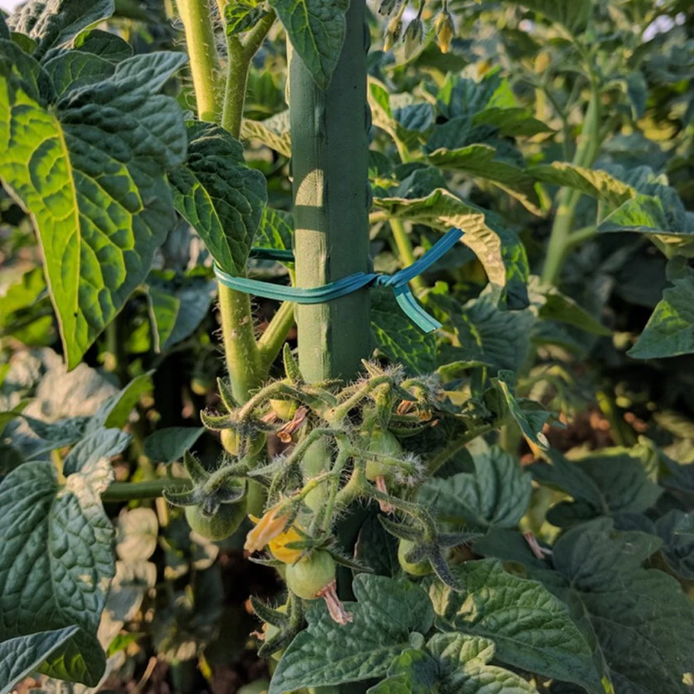 15/20cm Gardening Vine Climbing Plants Cable Tie Lines Plant Parts Flower Cucumber Grape Rattan Supports Plant Support