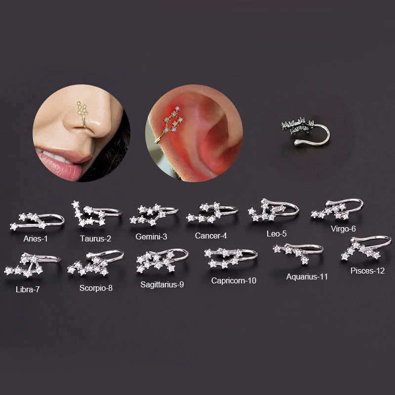 Punk Custom Bisuteria Cheap Fake Nose Rings Bulk Designer Silver Gold Women CZ Zodiac Sign Nose Rings