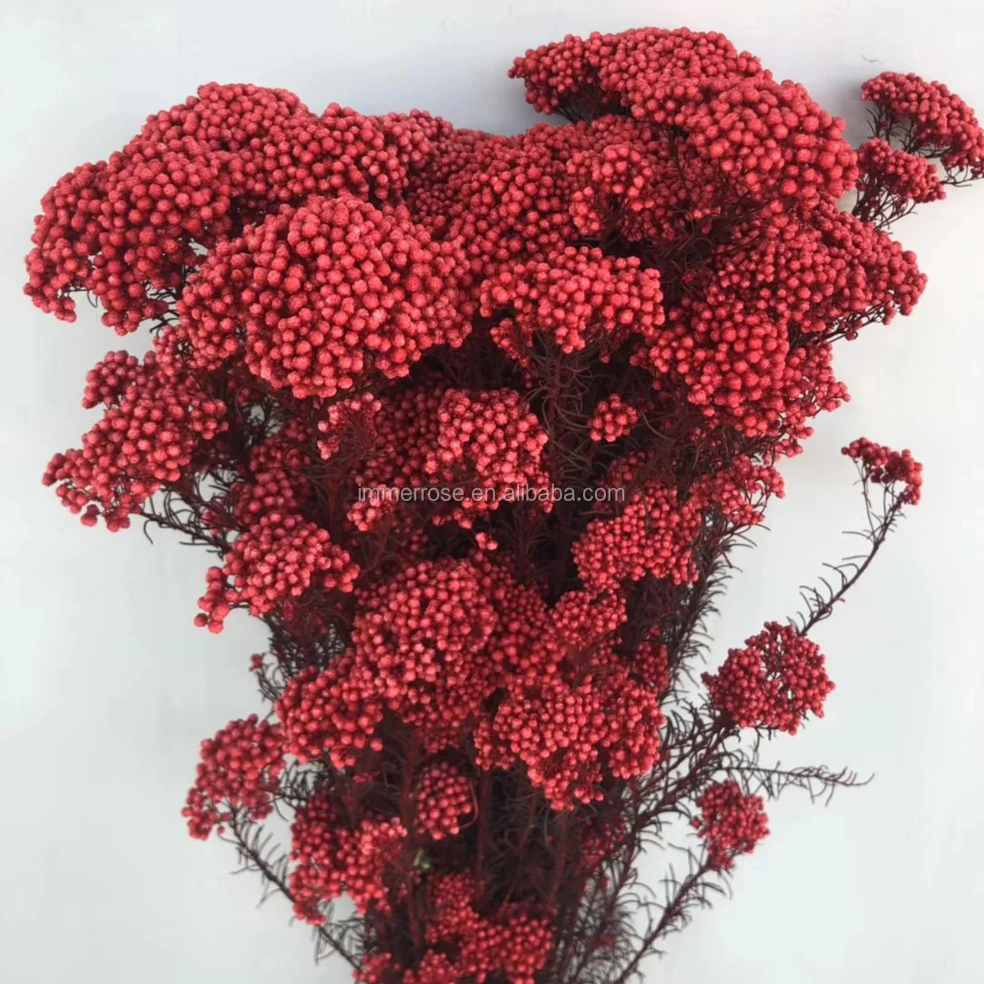 Dry Rice flower preserved millet flower bouquet wholesale