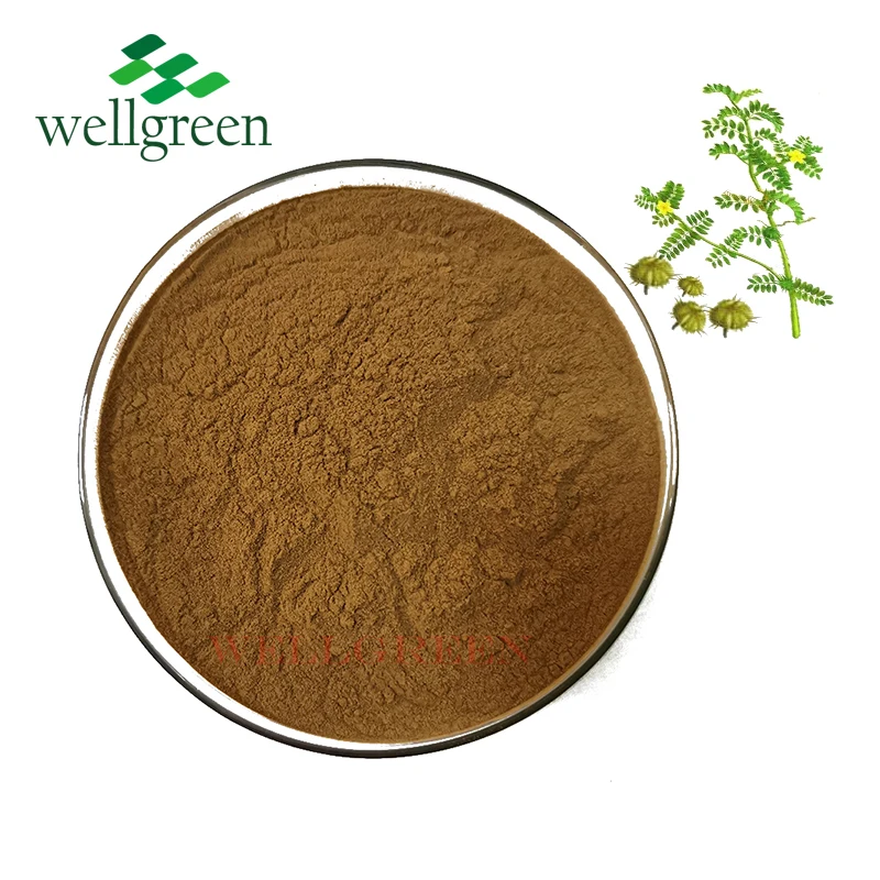 
raw material standardized nutritional supplements saponin powder / liquid tribulus terrestris fruit extract 