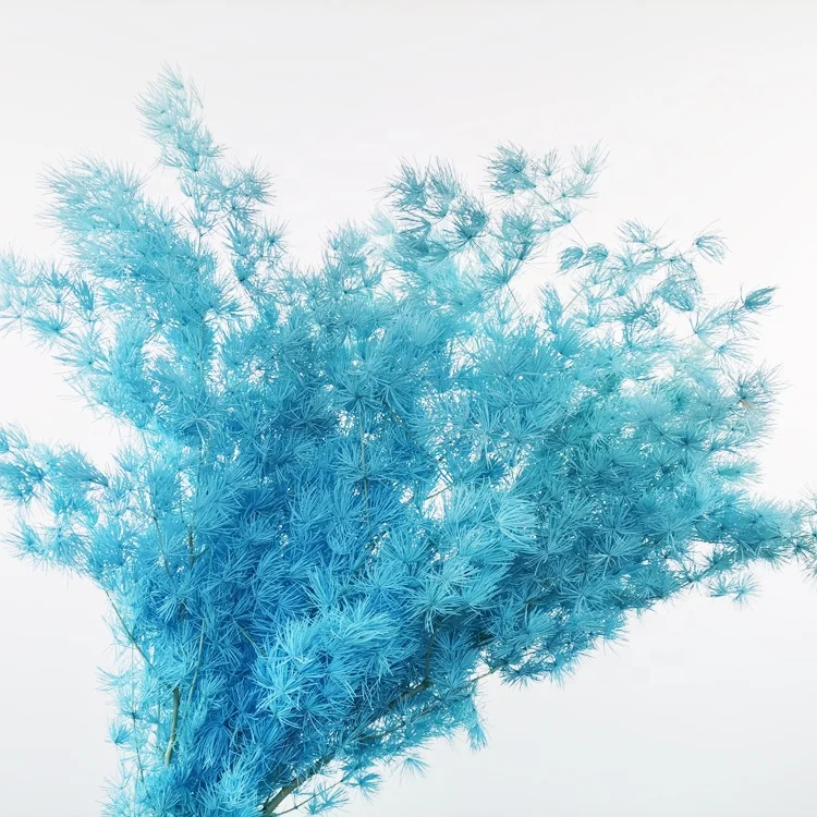 summer flora Floating flower decoration Natural everlasting flowers preserved flower asparagus myriocladus