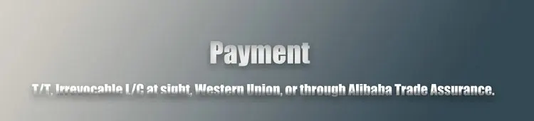 Payment_1.jpg