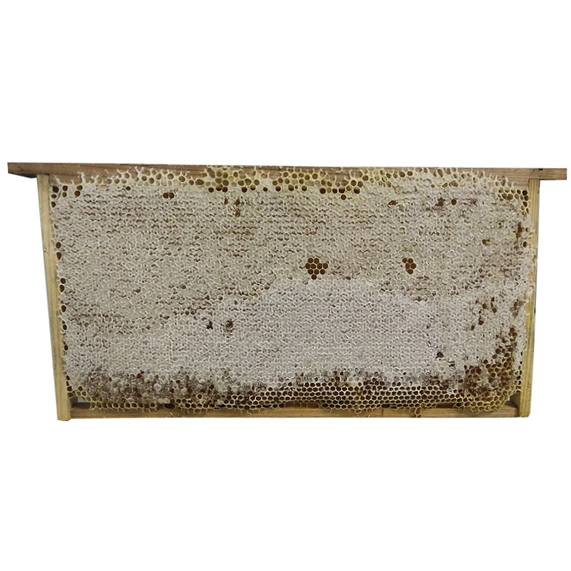 100% Natural Bee Multi-flower Comb Honey Polyflower Raw Honey Sale the Whole Frame
