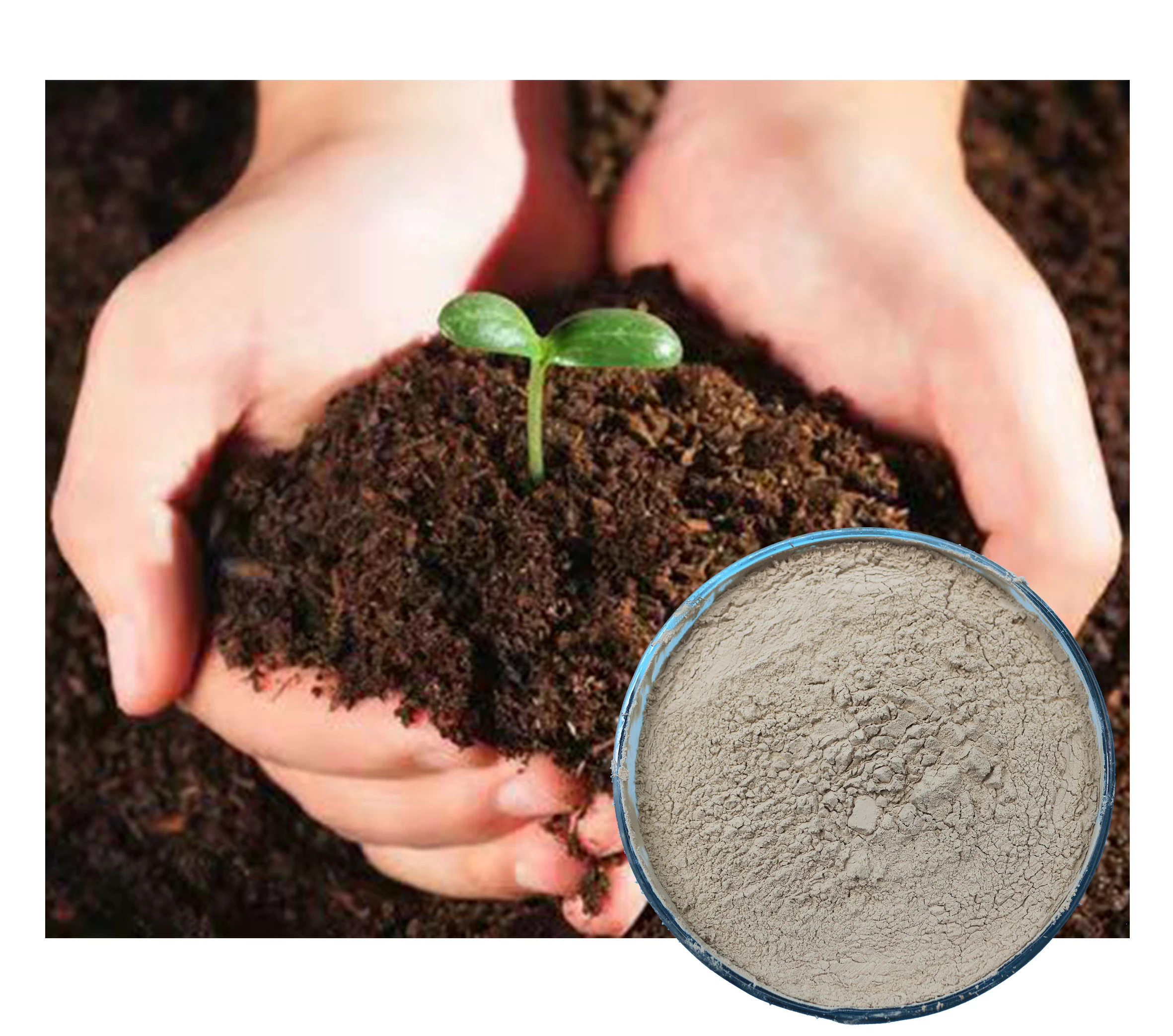 Низкая цена, водорастворимое удобрение C111, сельскохозяйственное микронитриентное биоудобрение