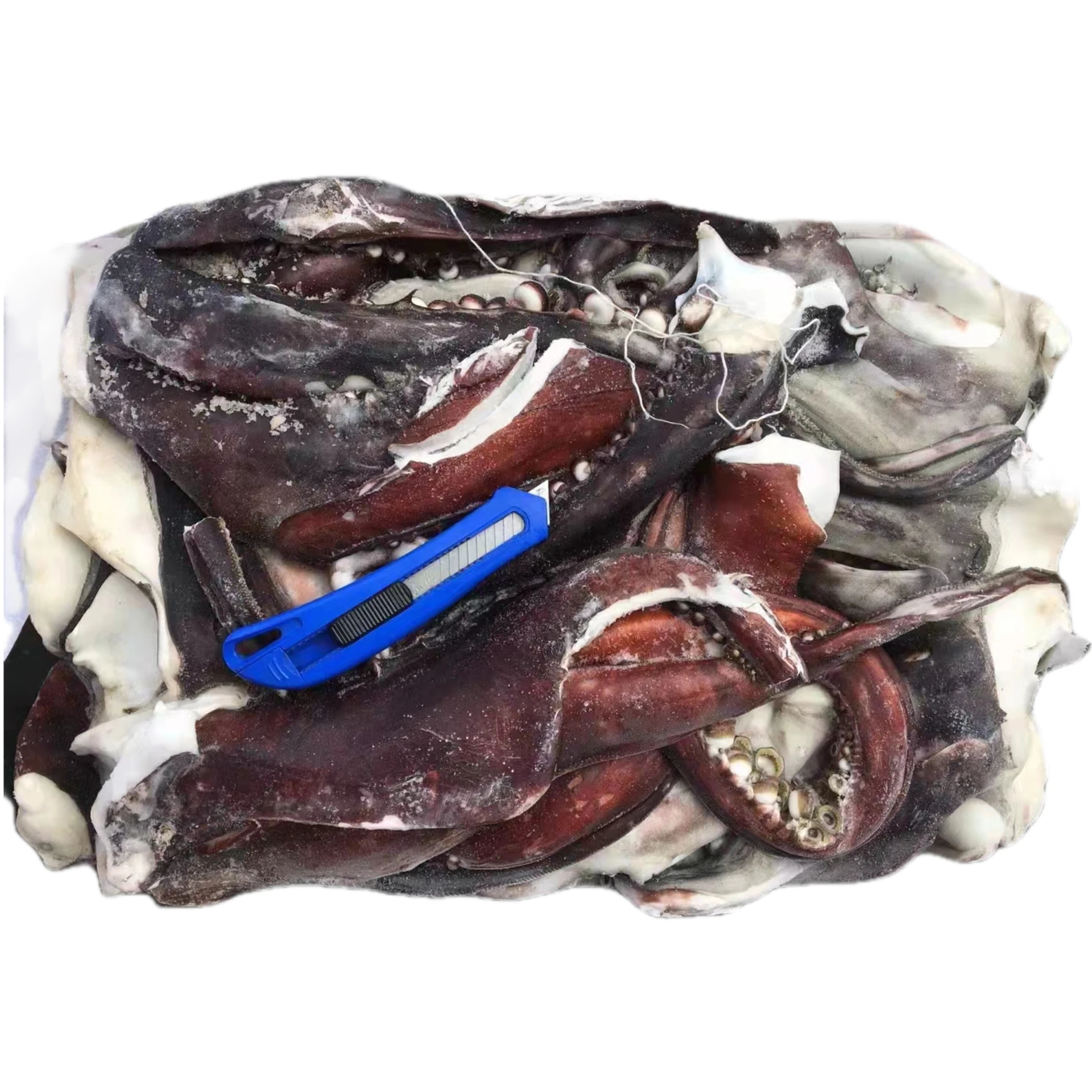 Новый сезон, оптовая продажа, замороженная голова кальмара Перу высокого качества, замороженная гигантская голова кальмара для рынка Юго-Восточной Айсы