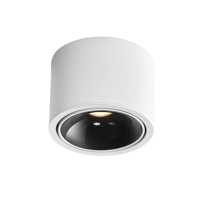 Hot sale  Surface mounted tube lamp Cylindrical  are used for hallway lighting in the living room Mini spotlight circular