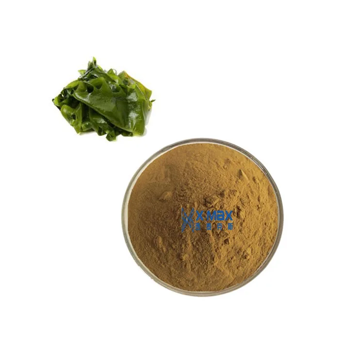 
Natural Kelp Extract Powder 10%-98% 