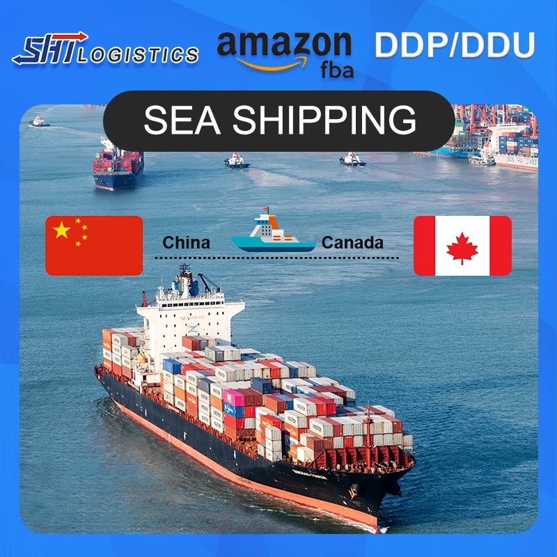 Ocean shipping the cheapest shipping agent freight forwarder from China to Canada USA Mexico ddu ddp