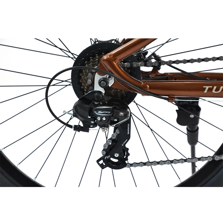 mtb bike14.jpg