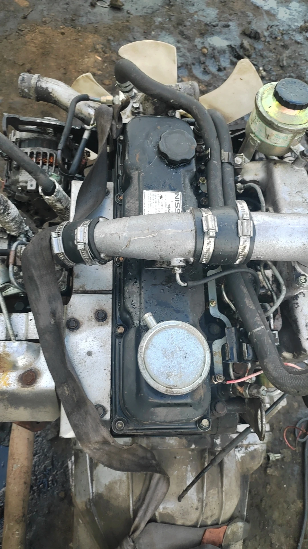 Dependable Quality qd32 Used Engine for ni ssan With fast shipping