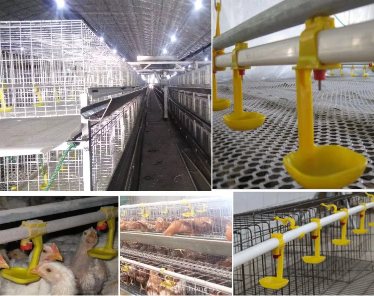 high quality low price hot sale Chicken water Cup Drinking Fountains Nipple Cup Broiler water Drinker chicken drip cup for sale