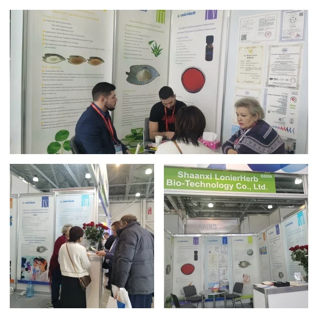 LonierHerb поставка фермента лактазы 100000 U/g CAS 9031-11-2 для пищевых добавок