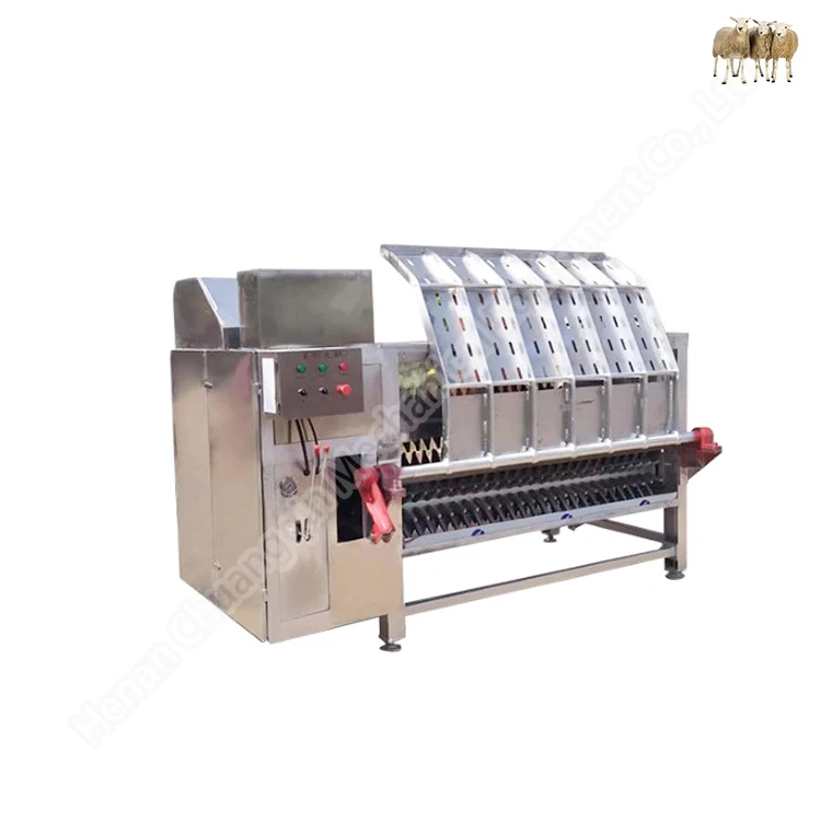 sheep slaughter line cow slaughtering plant goat dehair machine