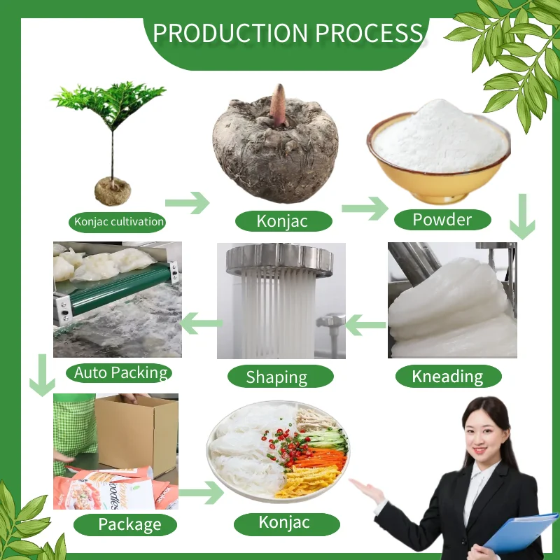 Exports Instant pasta brand healthy and low carb konjac snow konjac exported to Korea dry konjac meat