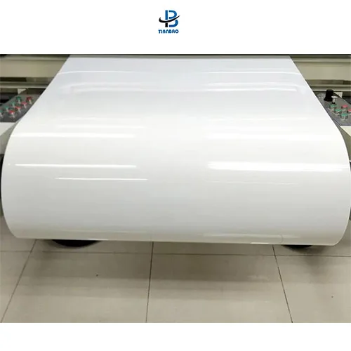 China Matt Pet Film /Matte Polyester Film for Food