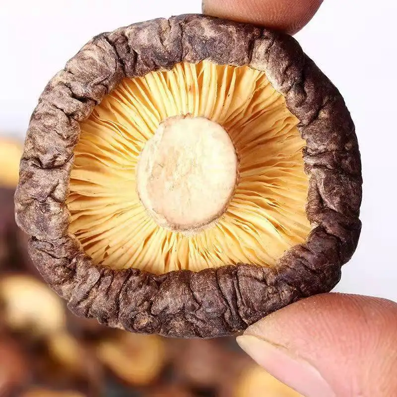 Natural bulk dried shiitake mushrooms Dry Flower Mushroom dried mushroom(Whatsapp:+8619894318705)
