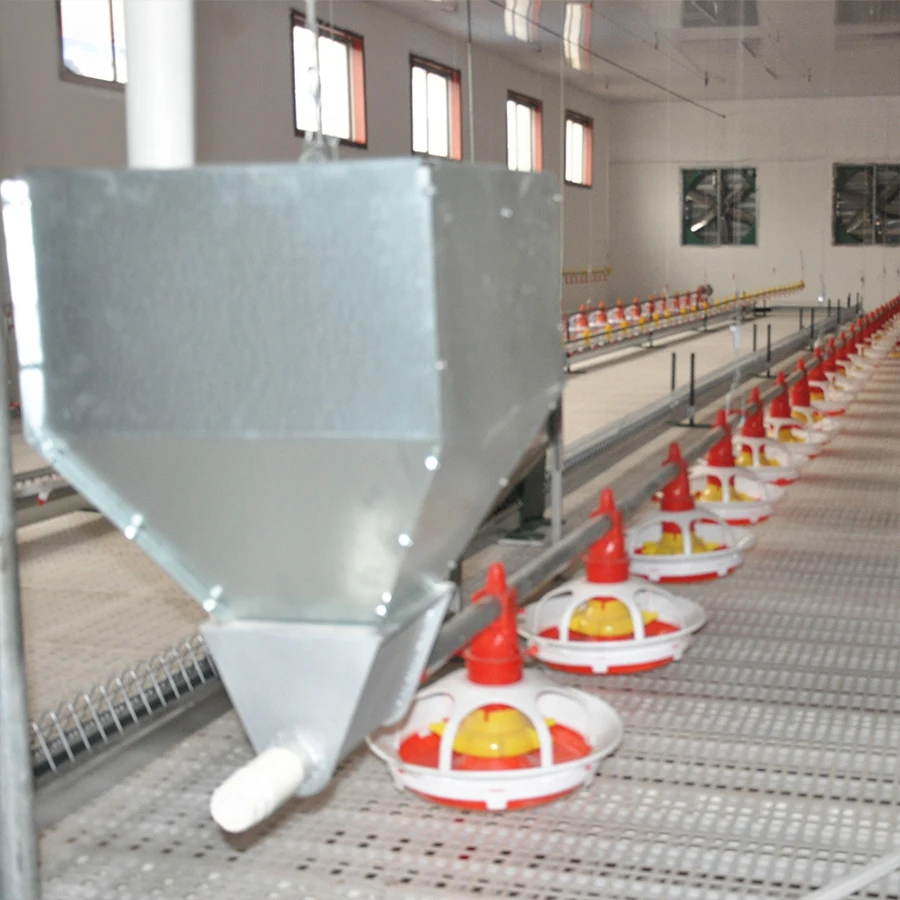 Farming Equipment automatic chicken feeders and drinkers nipple drinkers feeding line system for chicken coop/ poultry