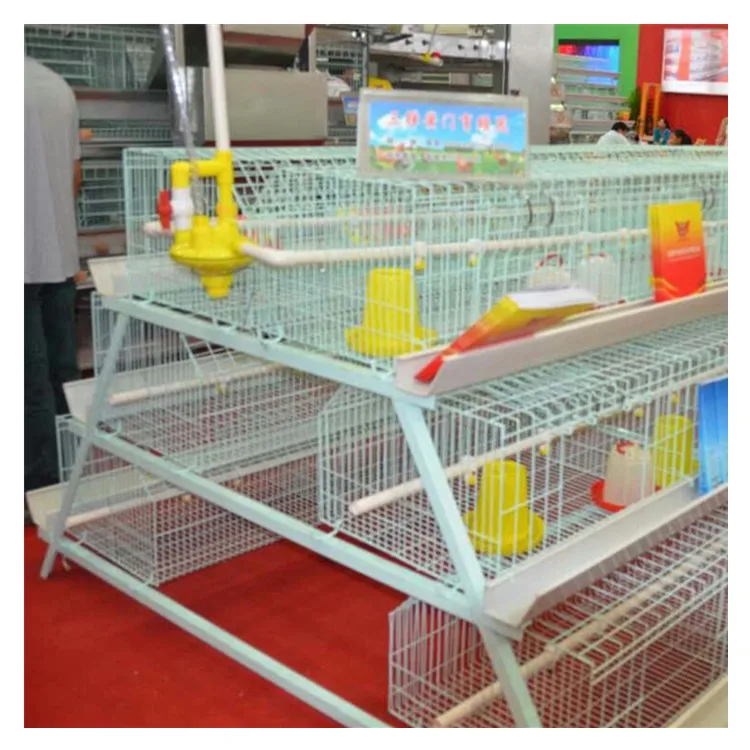 Poultry Laying Hens Layer Chickens Cages Equipment Multifunctional Provided Chicken Coop Poultry in Ghana Chicken Cages for Sale