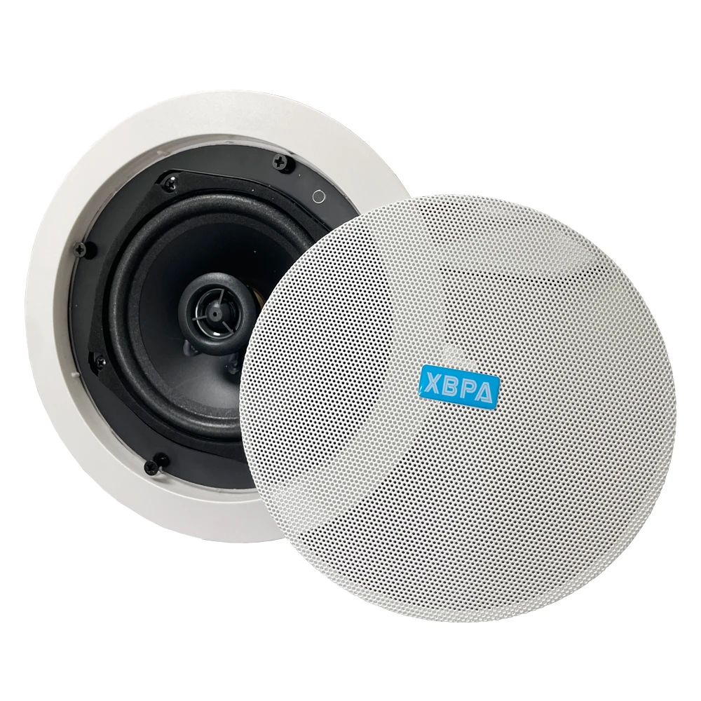 Multi-Room ceiling speaker 6W 10W 15W 20W 30W 40W 50W 60W  to 120W BGM wifi  ceiling speaker 4 to 8 inch