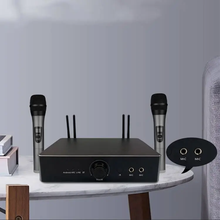 Best KTV  home theatre system 2 mics Input speaker mixer professional audio stereo amplifiers