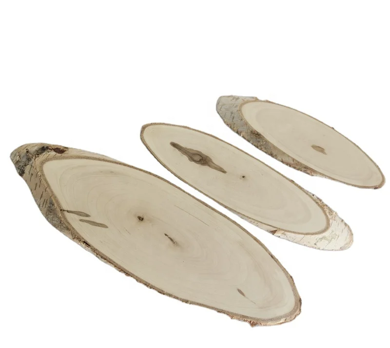 Natural Wood Slices with Bark Smoothly Sanded Polished Ready to Use Pine Wood Birch Willow Basswood Poplar Tree for Choice