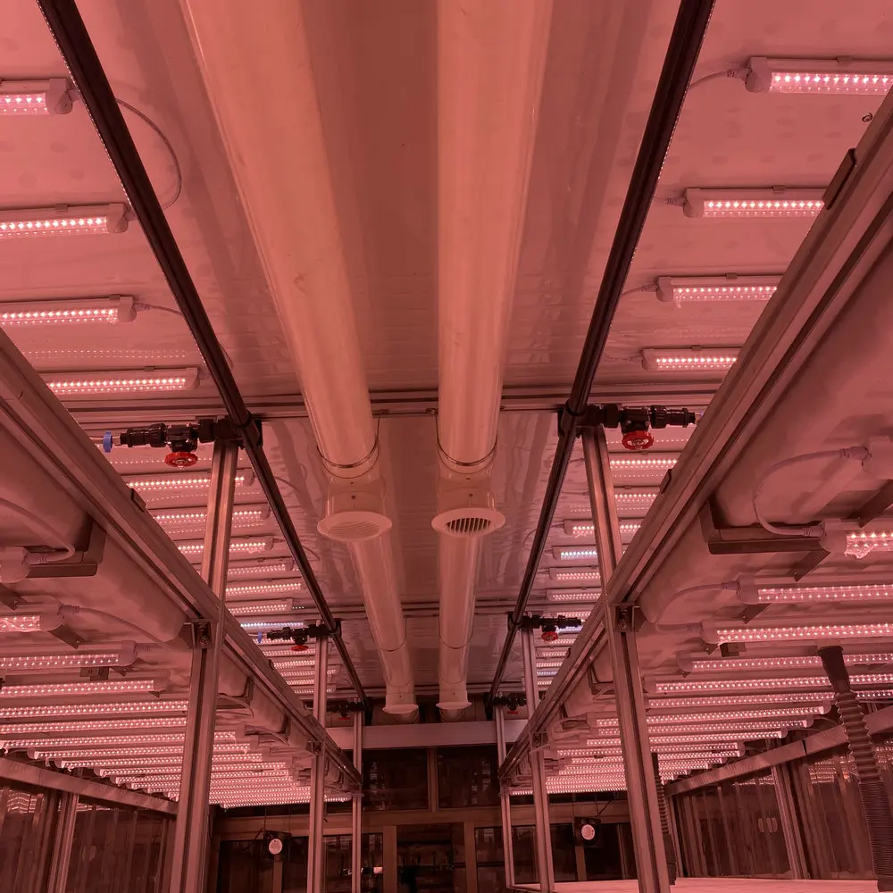 micro-farms container greenhouse farming vegetable hydroponic irrigation system