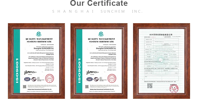 6-2Company Information.jpg