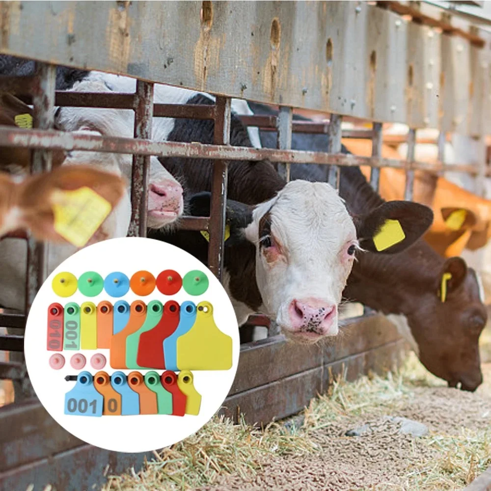 Factory direct sales price discount animal pig sheep cattle cow ear earing tags