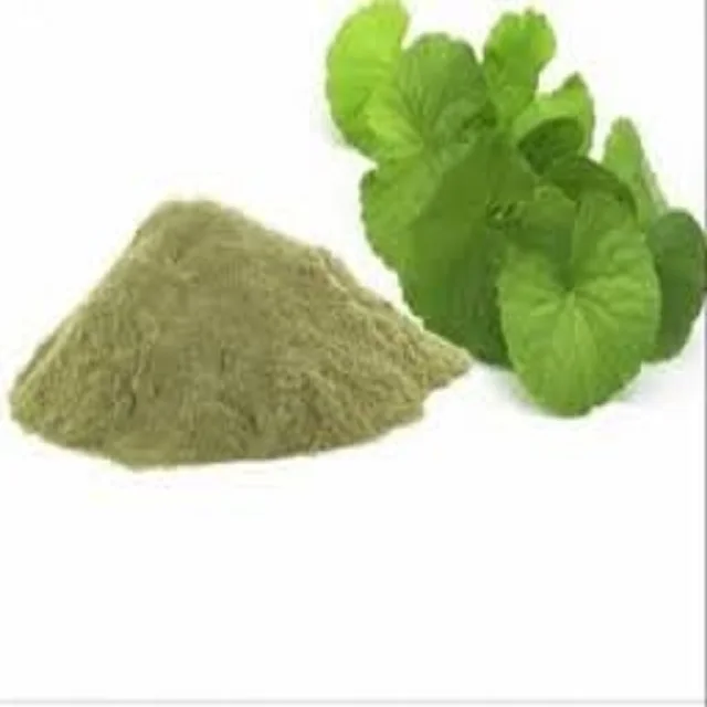 10% 20% 50% Bacopa Monnieri экстракт порошка травяной добавки из фруктов в барабанной упаковке