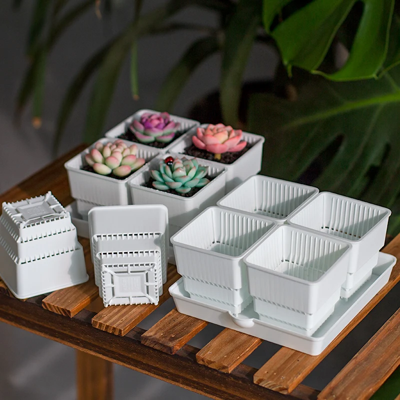 Китайский декоративный современный комнатный маленький пластиковый горшок для растений бонсай