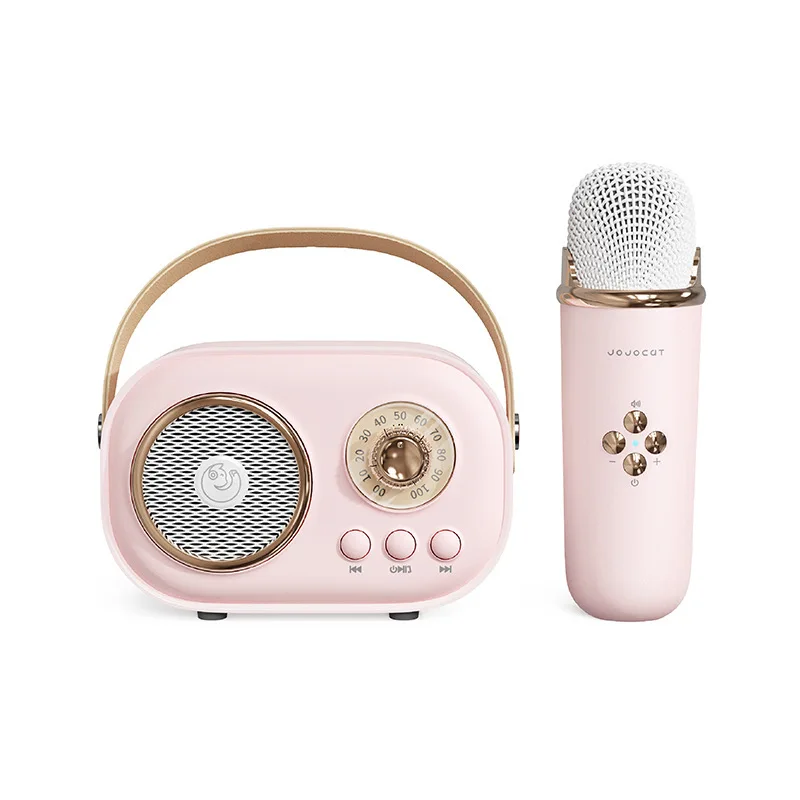 Hot C20 Plus Wireless BT Speakers Audio Portable Speaker Home KTV Mini Microphones karaoke wireless speaker microphone set