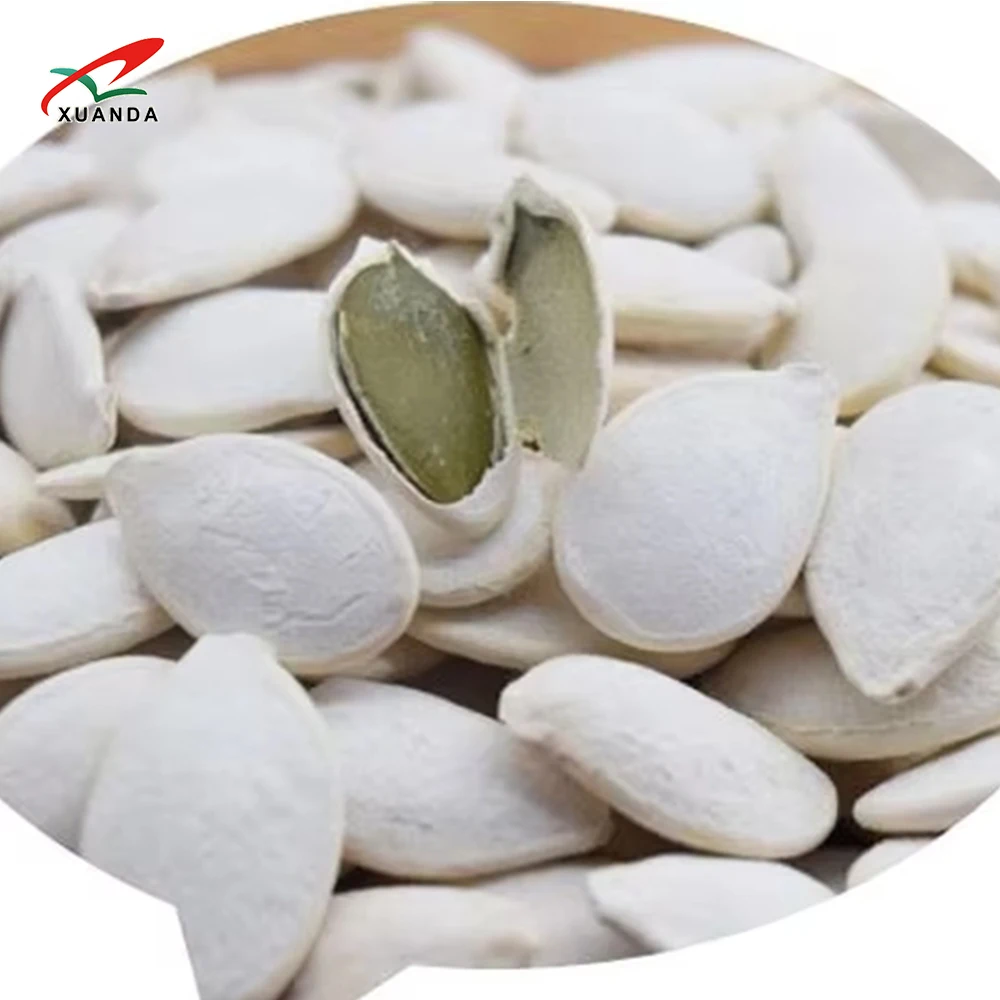 2024 Professional Supplier Shine Skin Snow White Seeds Pumpkin 11MMM Big Size Pumpkin Seeds In Shell Fresh Squash Seeds