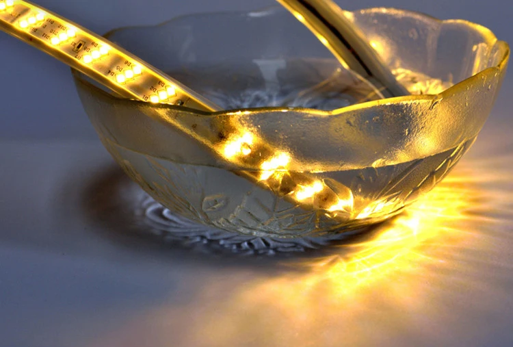 High Brightness Rope Lighting waterproof Flexible IP68 SMD 2835 Outdoor Led Strip Light