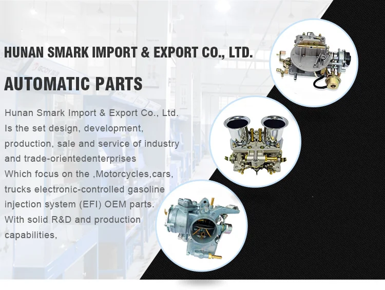 Carburetor Repair Kit for Carburetor 13200-85231 465Q Engine F10A