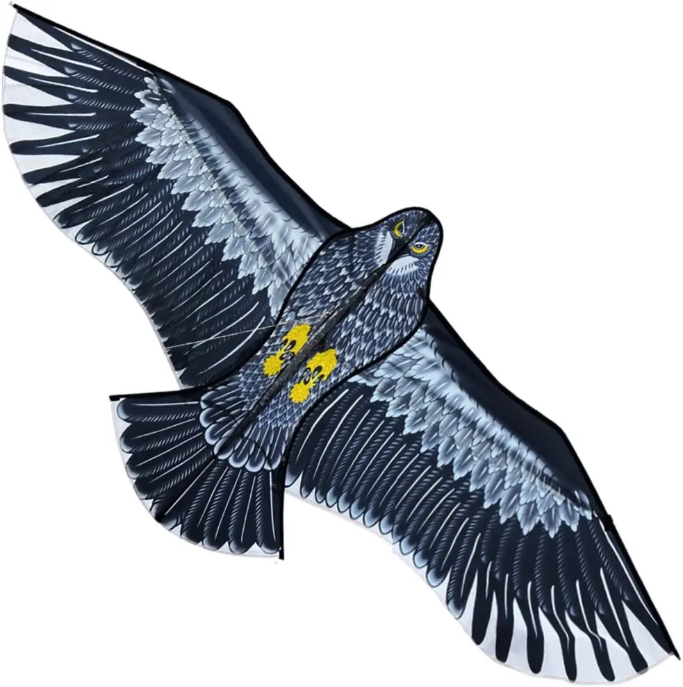 Hot Sale Cheap Eagle Kite From Hengda Kite Factory