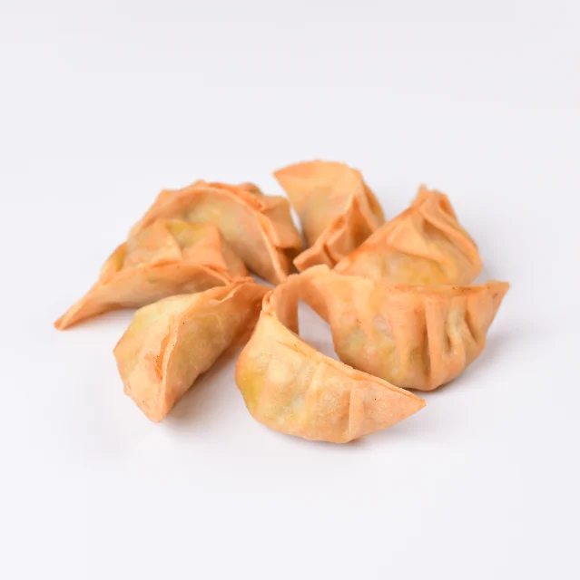 Frozen Japanese Chinese  Fried Gyoza Dumpling Jiaozi with Halal