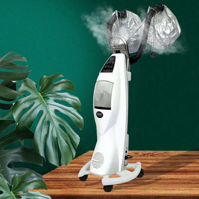 Best Price Mist Ozone Hair Steamer Dryer Hood Hairdressing Equipment Complete Man Steam Apparatus Nano With CE Certificate
