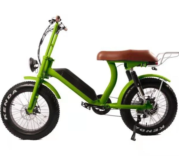 China low price customized 500W / 750W 1000w 48V retro fat tire ebike 20inch full suspension electric bike bicycle