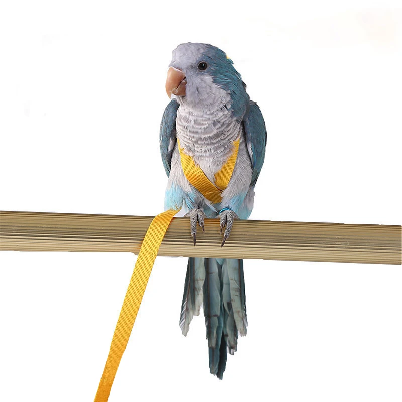 Comfortable Light Outdoor Parrot Harness Training Spring Rope Parrot Accessory Tool for Bird Flying
