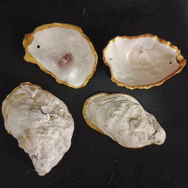 Oyster Shell Ornaments Christmas Coastal Beach Pearlescent with Gold Plated for  Wedding
