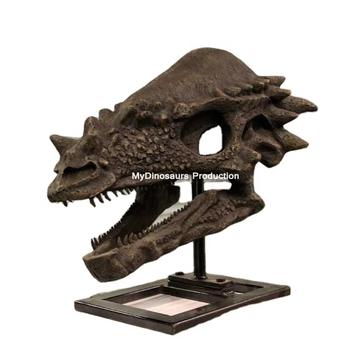 R Showroom Science Exhibition Lifesized Pachycephalosaurus Dinosaur Skull