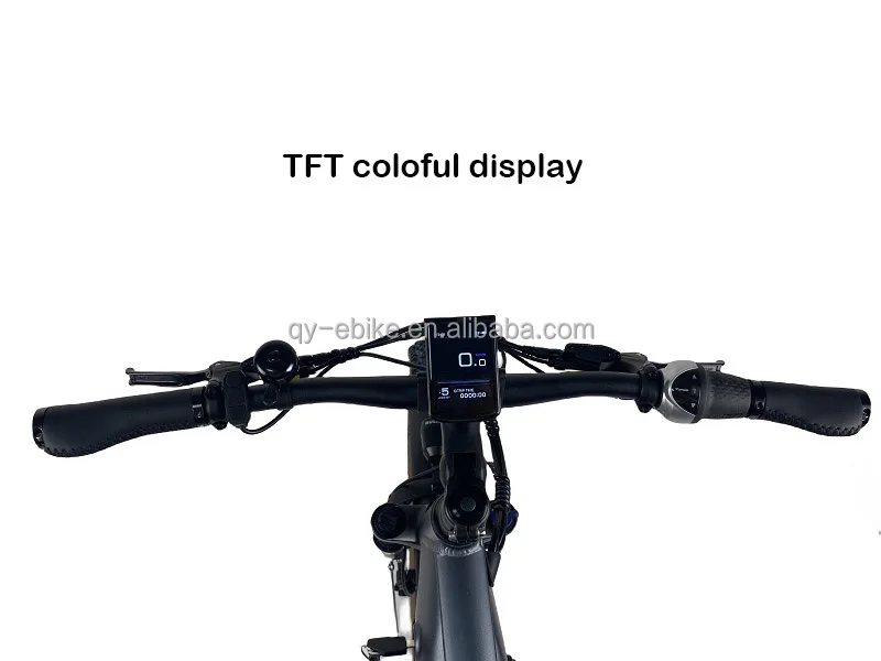 QUEENE Vintage 350W/500W  Gates Belt Drive Mid Drive Motor  Electric Road Bike Powerful Ebike