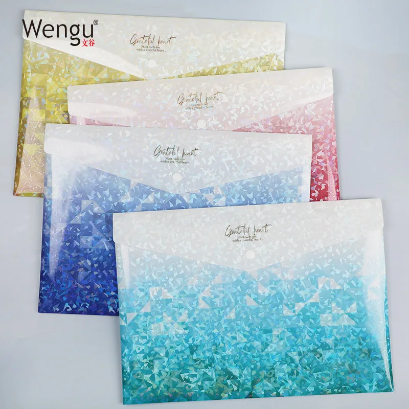 Wengu горячая Распродажа, популярная Высококачественная 100% водонепроницаемая маслостойкая портативная Дешевая Сумка для документов с индивидуальным дизайном