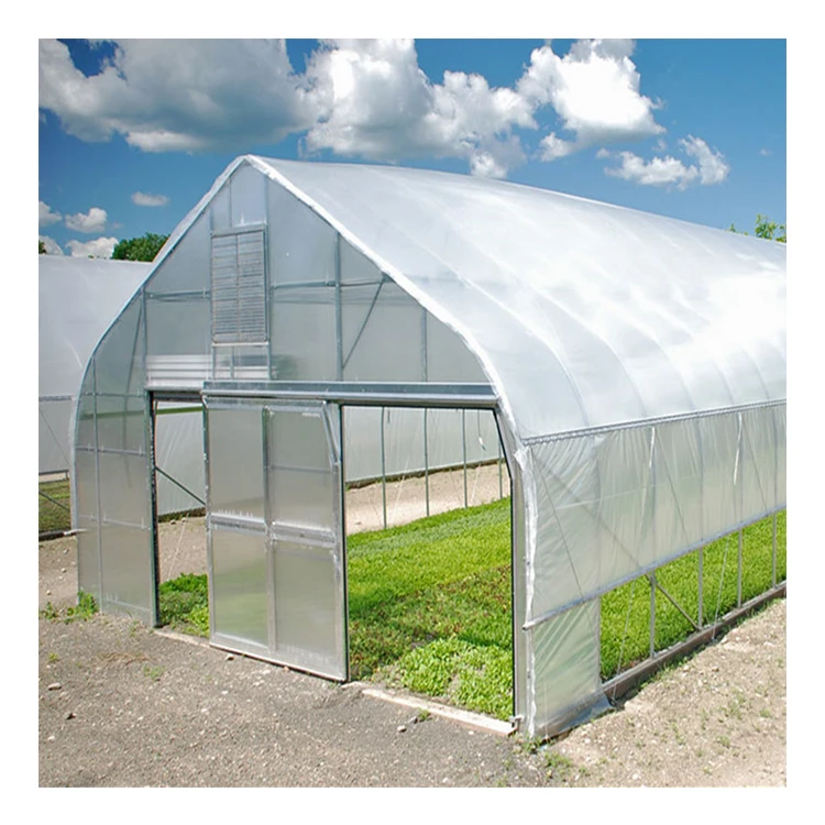 
Factory Directly Wholesale Single Layer Tunnel Greenhouse Tunnel For Agriculture 