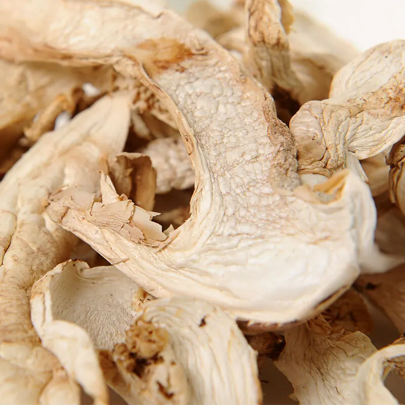 Сушеные устрицы reishi эноки травяной гриб