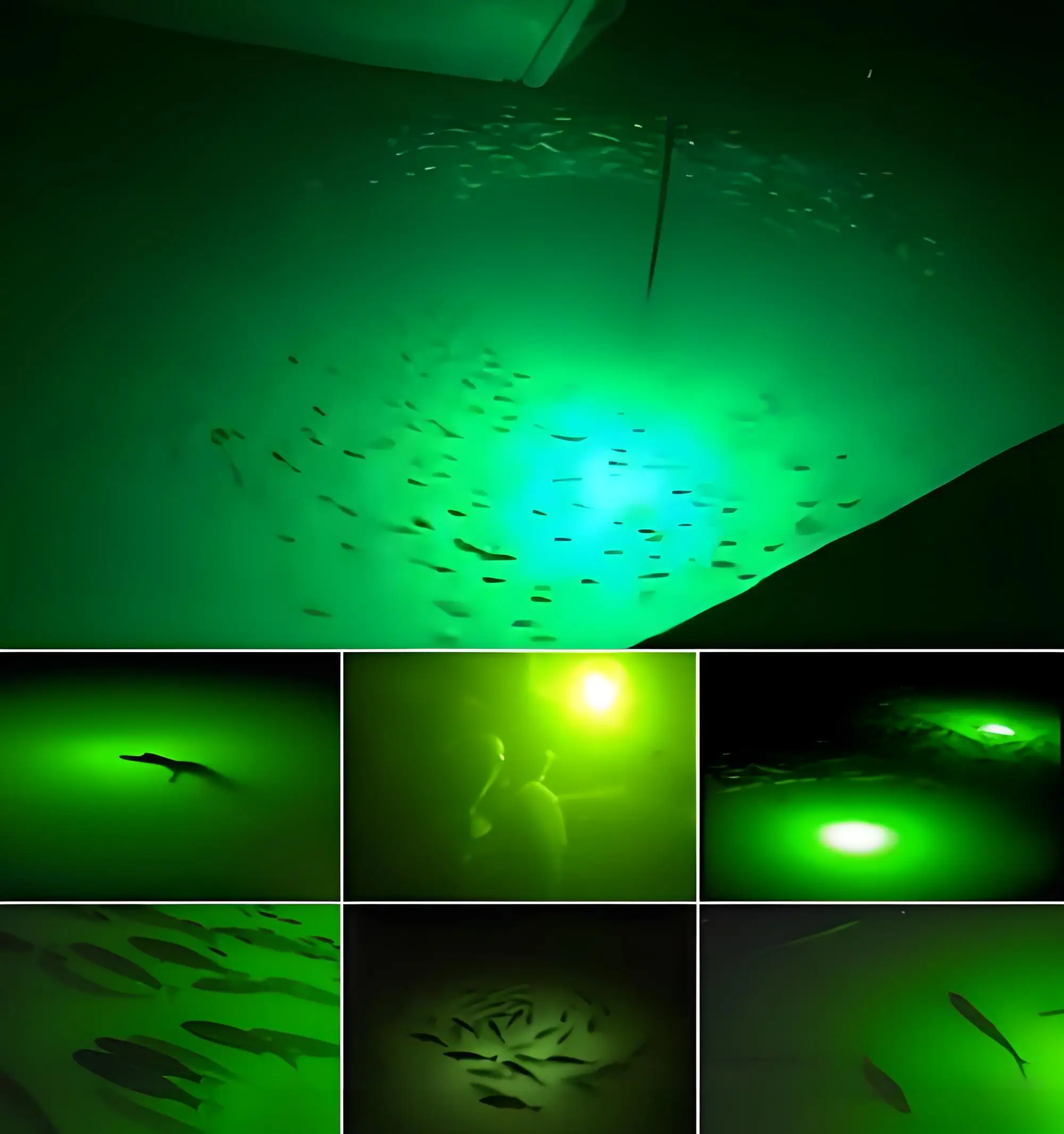 Customization fishing led light underwater   500w  12v  led light underwater
