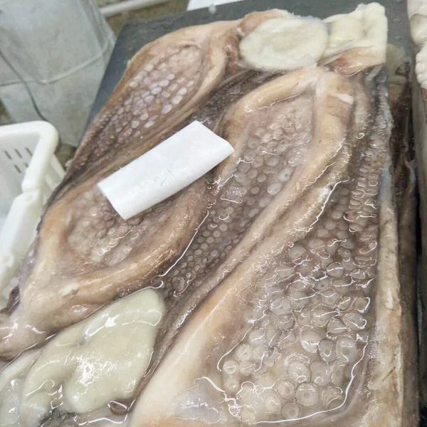 Good Price High Quality Frozen Giant Octopus Peru Octopus Big Octopus